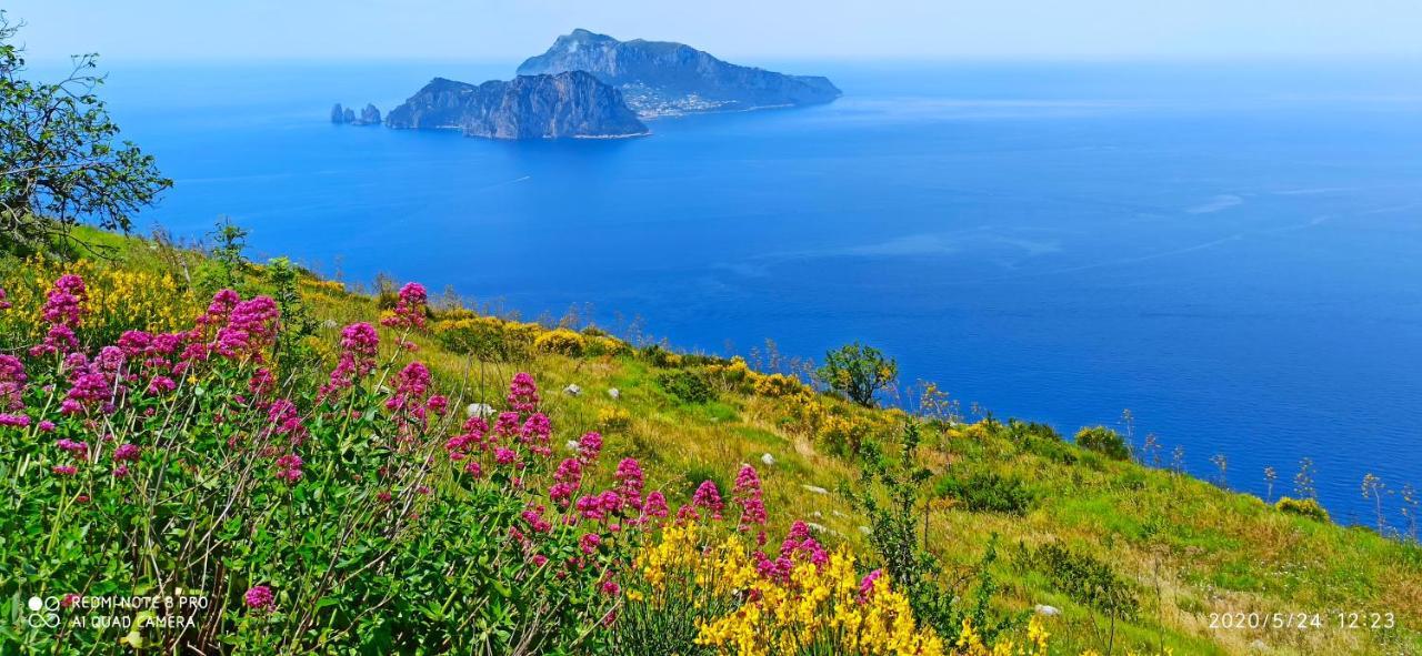 La Villa Degli Dei - Guest House Castellammare di Stabia Zewnętrze zdjęcie