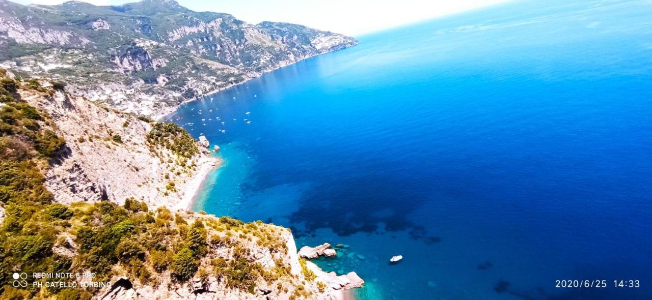 La Villa Degli Dei - Guest House Castellammare di Stabia Zewnętrze zdjęcie