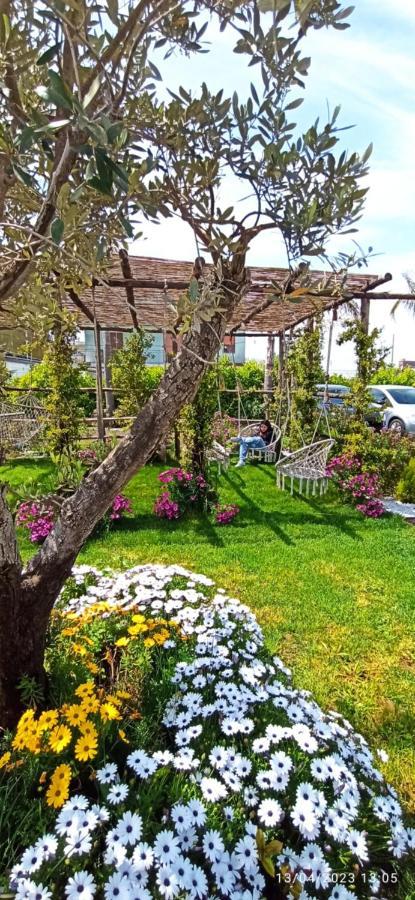 La Villa Degli Dei - Guest House Castellammare di Stabia Zewnętrze zdjęcie