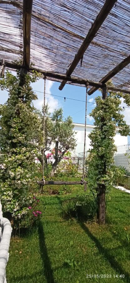 La Villa Degli Dei - Guest House Castellammare di Stabia Zewnętrze zdjęcie
