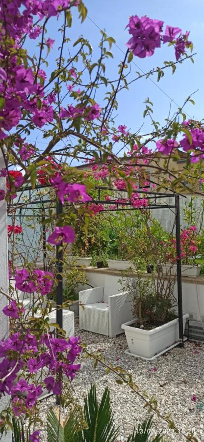 La Villa Degli Dei - Guest House Castellammare di Stabia Zewnętrze zdjęcie