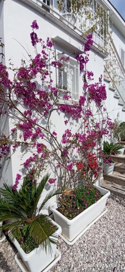 La Villa Degli Dei - Guest House Castellammare di Stabia Zewnętrze zdjęcie